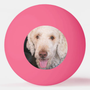 Fuzzy Pingpongbal