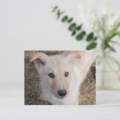 Fuzzy Puppy Briefkaart (Staand voorkant)