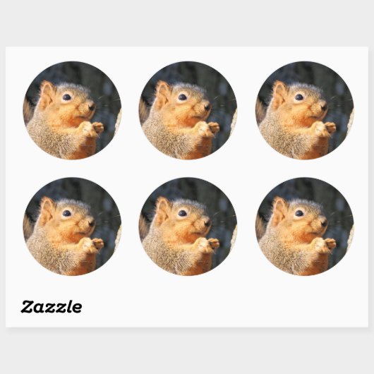 Fuzzy Ronde Sticker (Vel)