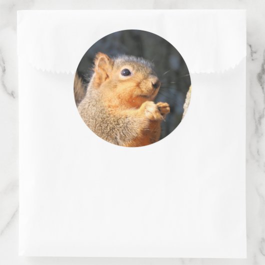 Fuzzy Ronde Sticker (Tas)