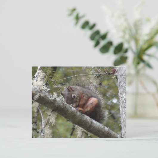 Fuzzy Slaping op Briefkaart met boomarm (Staand voorkant)