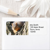 Fuzzy stuiver etiket (Insitu)