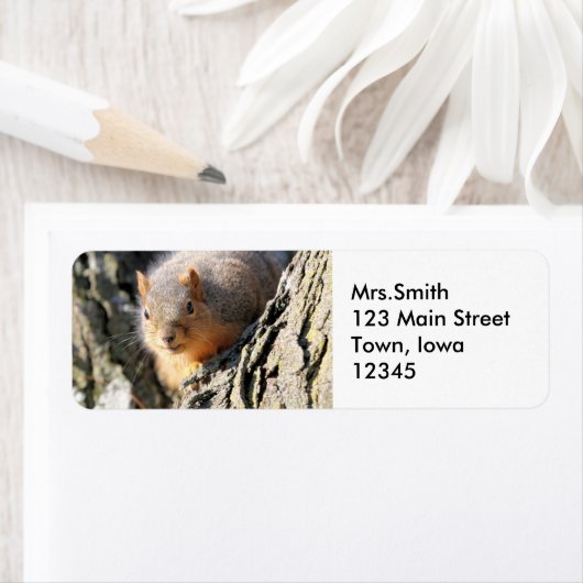 Fuzzy stuiver etiket (Insitu)