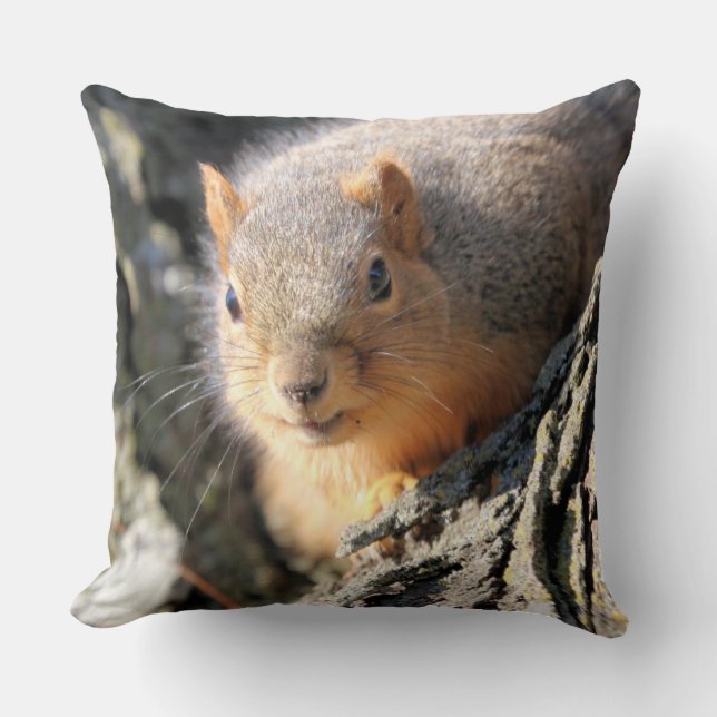 Fuzzy stuiver kussen (Voorkant)