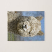 Fuzzy White Alpaca Face Legpuzzel (Horizontaal)