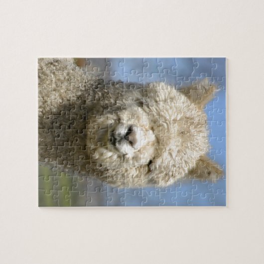 Fuzzy White Alpaca Face Legpuzzel (Horizontaal)