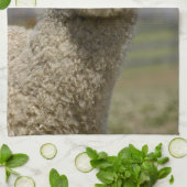 Fuzzy White Alpaca Face Theedoek (Gevouwen)