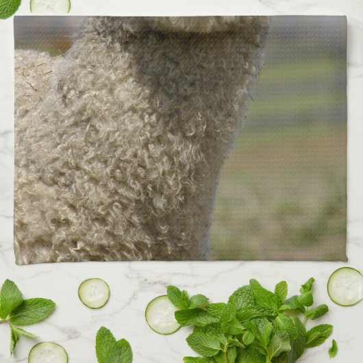 Fuzzy White Alpaca Face Theedoek (Gevouwen)