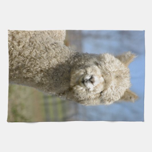 Fuzzy White Alpaca Face Theedoek (Horizontaal)