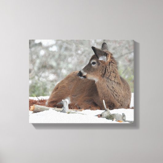 Fuzzy White op maat gesneden Deer Fawn Canvas Afdruk (Voorkant)