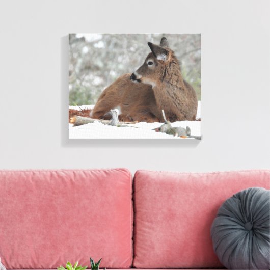 Fuzzy White op maat gesneden Deer Fawn Canvas Afdruk (Insitu (Woonkamer))
