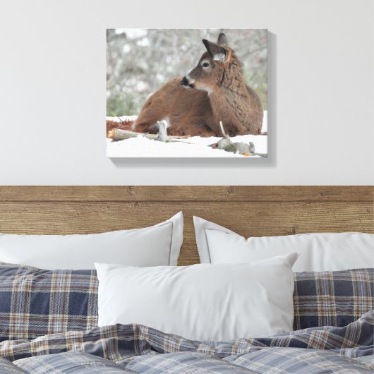 Fuzzy White op maat gesneden Deer Fawn Canvas Afdruk (Insitu (Slaapkamer))