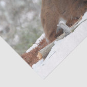 Fuzzy White op maat gesneden Deer Fawn Tissuepapier (Detail)