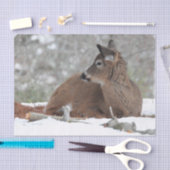 Fuzzy White op maat gesneden Deer Fawn Tissuepapier (Craft)