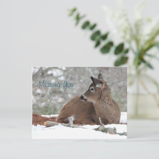 Fuzzy White Tailed Deer Fawn /Missing you Briefkaart (Staand voorkant)