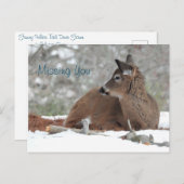 Fuzzy White Tailed Deer Fawn /Missing you Briefkaart (Voorkant / Achterkant)