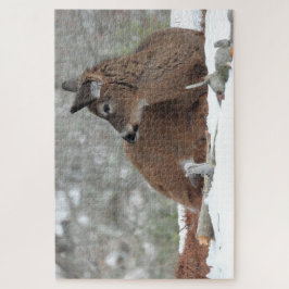 Fuzzy White Tailed Deer Fawn rustte in sneeuw Legpuzzel