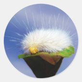 Fuzzy Witte Rups Ronde Sticker (Voorkant)