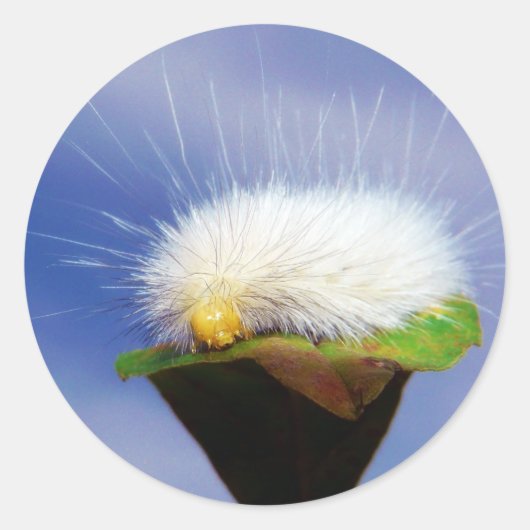 Fuzzy Witte Rups Ronde Sticker (Voorkant)