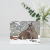 Fuzzy witte staart herten Fawn / Groeten Briefkaart (Staand voorkant)
