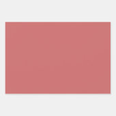 Fuzzy Wuzzy Solid Color Inpakpapier Vel (Voorkant 2)