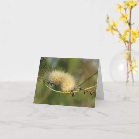 Fuzzy Yellow Caterpillar - Blank Note Kaart (Gele Bloem)