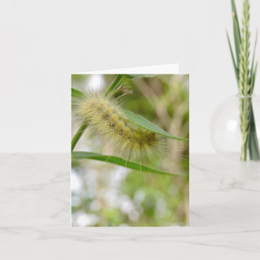 Fuzzy Yellow Caterpillar - Blank Wenskaart Kaart (Voorkant)