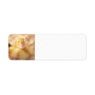 Fuzzy Yellow Duck Easter Baby Ducking Etiket