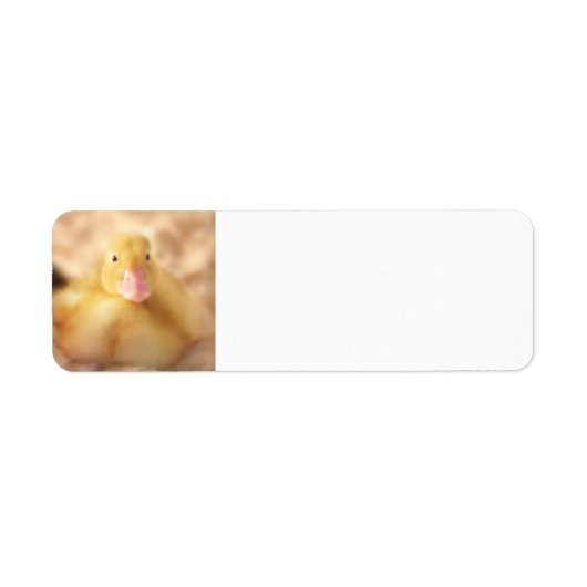 Fuzzy Yellow Duck Easter Baby Ducking Etiket (Voorkant)