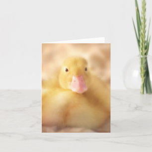 Fuzzy Yellow Duck Easter Baby Ducking Feestdagen Kaart