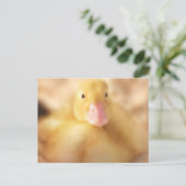 Fuzzy Yellow Duck Easter Baby Ducking Feestdagenkaart (Staand voorkant)