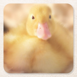 Fuzzy Yellow Duck Easter Baby Ducking Kartonnen Onderzetters