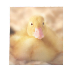 Fuzzy Yellow Duck Easter Baby Ducking Notitieblok
