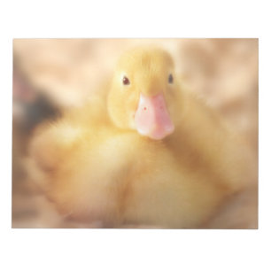 Fuzzy Yellow Duck Easter Baby Ducking Notitieblok