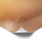 Fuzzy Yellow Duck Easter Baby Ducking Poster (Hoek)