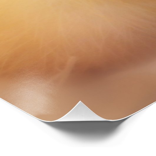 Fuzzy Yellow Duck Easter Baby Ducking Poster (Hoek)