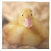 Fuzzy Yellow Duck Easter Baby Ducking Tegeltje (Voorkant)