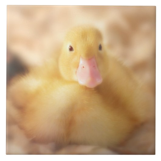 Fuzzy Yellow Duck Easter Baby Ducking Tegeltje (Voorkant)