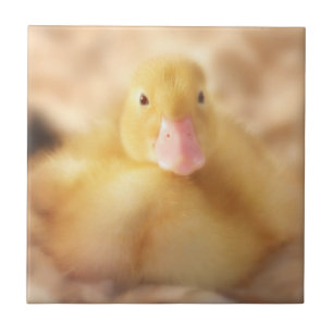 Fuzzy Yellow Duck Easter Baby Ducking Tegeltje
