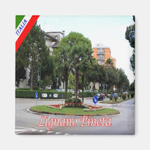 FVG008 LIGNANO - Pinewood - Italië - Fridge Magneet