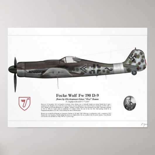 Fw 190 D-9 (Oskar Romm) Poster (Voorkant)