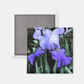 FX- Blauwe irismagneet Magneet (Voorkant / Achterkant)