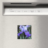 FX- Blauwe irismagneet Magneet (Insitu (Vaatwasser))