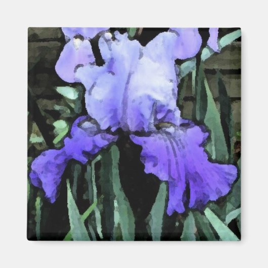 FX- Blauwe irismagneet Magneet (Voorkant)
