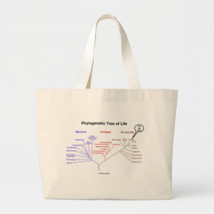 Fylogenetische boom van het leven - je bent hier ( grote tote bag