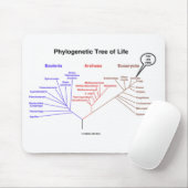 Fylogenetische boom van het leven - je bent hier ( muismat (Met muis)