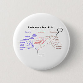 Fylogenetische boom van het leven - je bent hier ( ronde button 5,7 cm