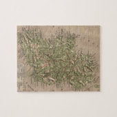  Fysieke Kaart van Ierland (1880) Legpuzzel (Horizontaal)