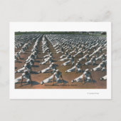 Fysieke Opleiding Programma voor Recruits - Amerik (Voorkant)