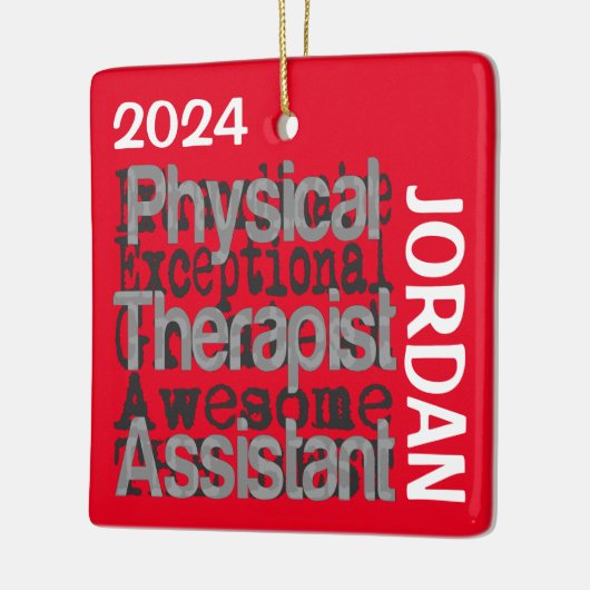 Fysieke Therapist Assistant Extraordinaire CUSTOM Keramisch Ornament (Links)